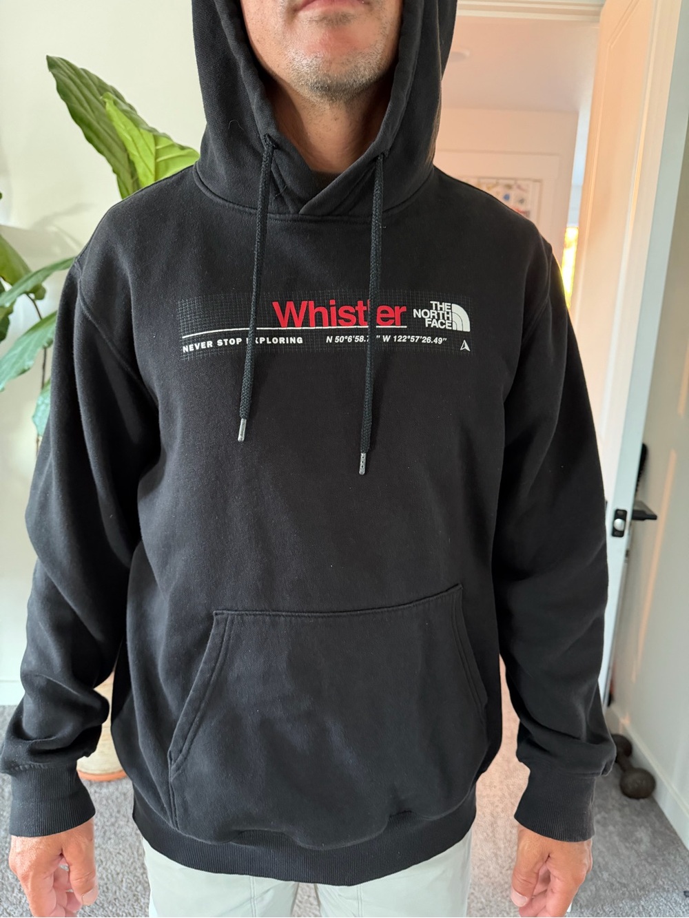 Men’s Northface Whistler hoodie